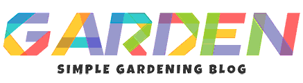 img/logo.gif