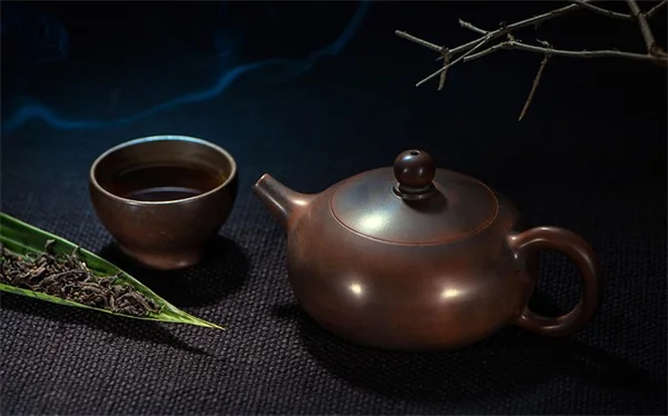 クリスマスの飾りつけに使える植物8選と長持ちさせるコツ