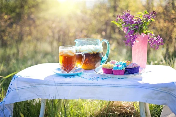 ソーラー噴水で作る植物付きDIY水景、夏の庭が一気に華やかに