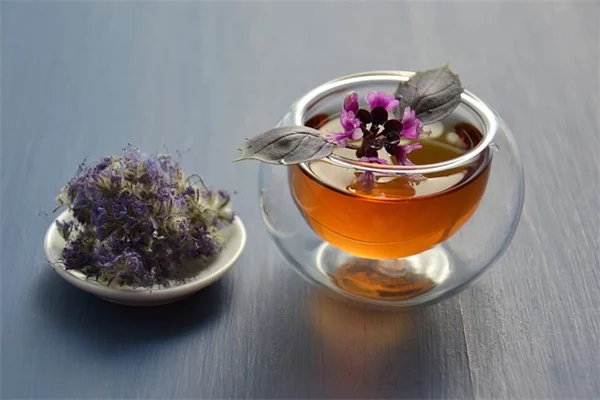 帝王蝶が最も好きな花は？必須のトウワタと秋の救世主を紹介